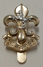 The King's Regiment  Anodised