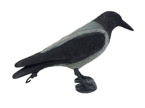 Hooded crow flocked - hooded,