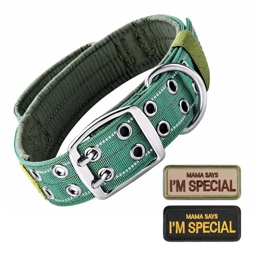 Tactical dog collar heavy - heavy, duty