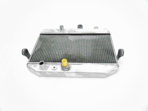 Radiator water suzuki burgman - water,