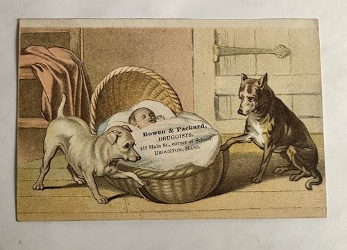 Victorian trade card - victorian, &