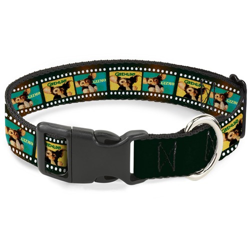 Warner bros pet collar dog - bros.,