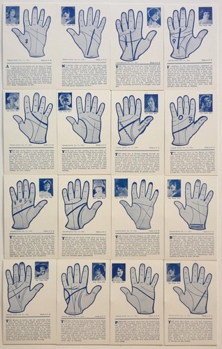 Vintage palm fortune - vintage,