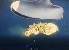 LAKE TAHOE AERIAL FLIGHT SEA