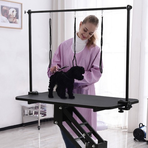 Beauty pet grooming - grooming, table