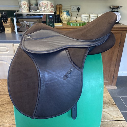 Thorowgood griffin pony club - ,