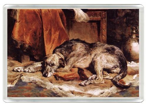 Irish wolfhound dog - wolfhound, fridge