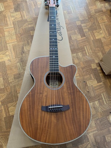 Tanglewood tru4ceak koa body - tanglewood,