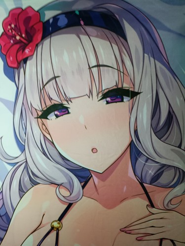 Hidebou house dakimakura body - house,