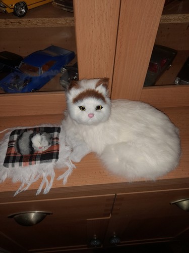 Two fake taxidermy cats - fake,