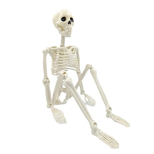 40cm full life size - 40cm,