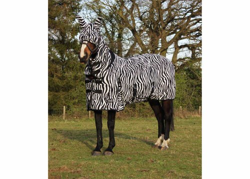 Zebra fly rug horse - rug,