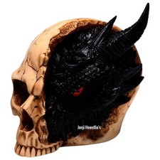 Black Dragon In Skull Sculpture Gothic Ornament Large Figurine Pagan Wiccan Deco