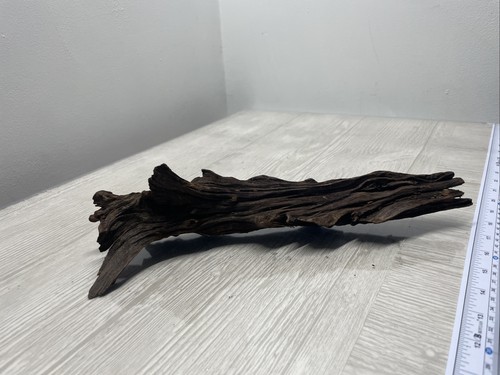 Fish tank bogwood - fish,