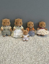 Sylvanian Families Waters