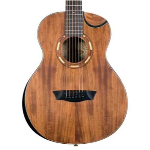 Washburn comfort mini - comfort, g-mini