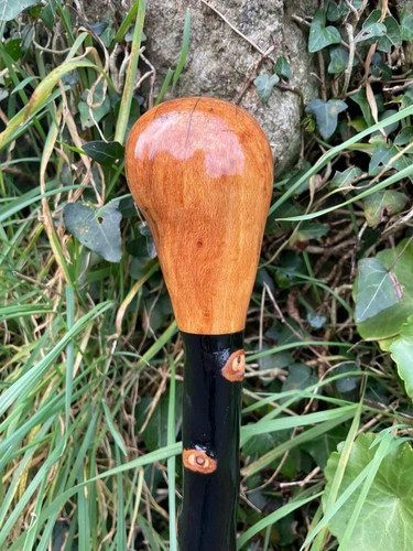 Blackthorn walking stick cane - walking,
