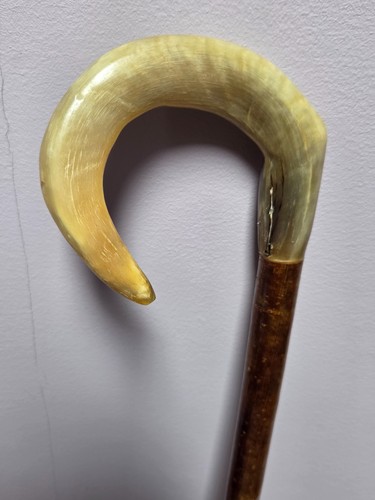 Shepherds crook rams horn - crook,