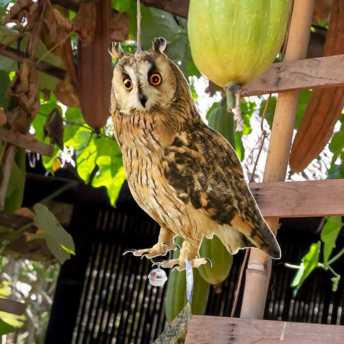 Realistic owl decoy - realistic,