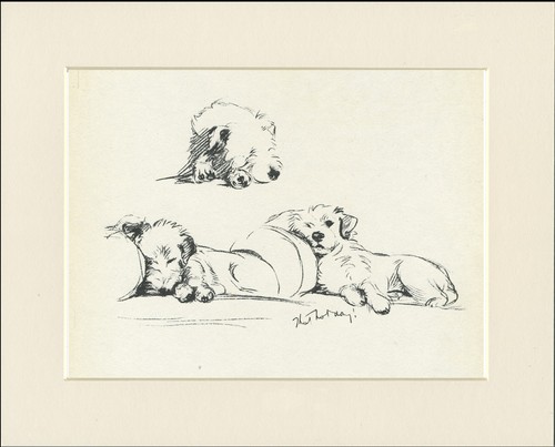 Jack russell terrier vintage - jack,