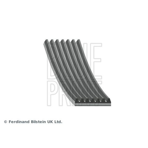 Blue print multi ribbed - blue,