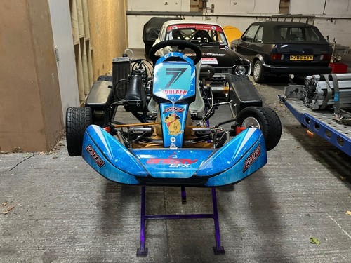 Pre evo rotax junior - junior, go