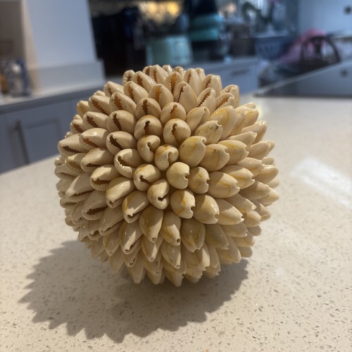 Vintage cowrie shell ball - cowrie,