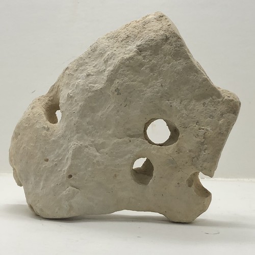 Natural holey rock fish - holey, tank