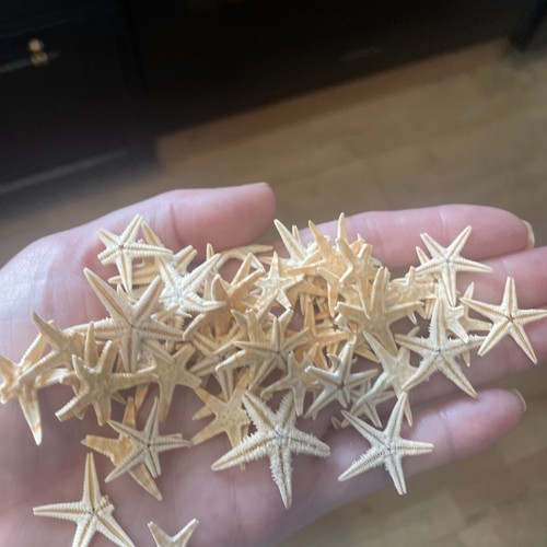 Mini natural starfish - natural,