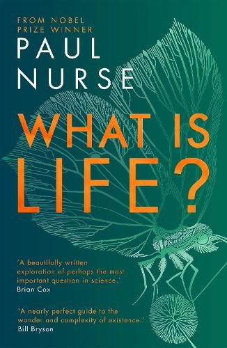 What life nurse paul - what,