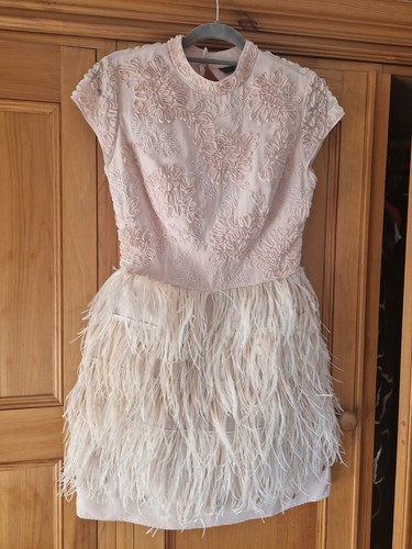Coast pink feather dress for - coast,