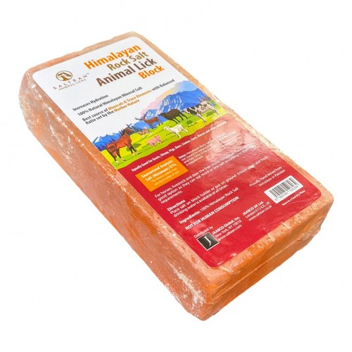 Himalayan rock salt - lick,