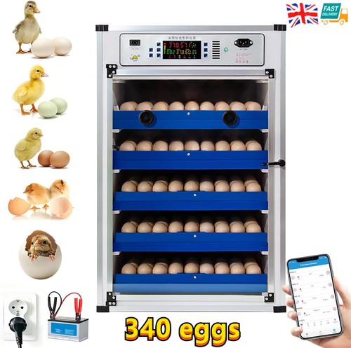 Automatic digital incubator - digital,