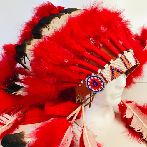 Native american feather - native,