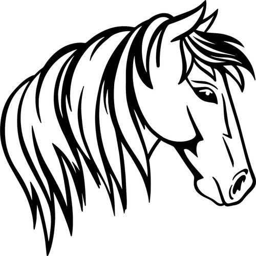 Horse vinyl decal - vinyl, sticker