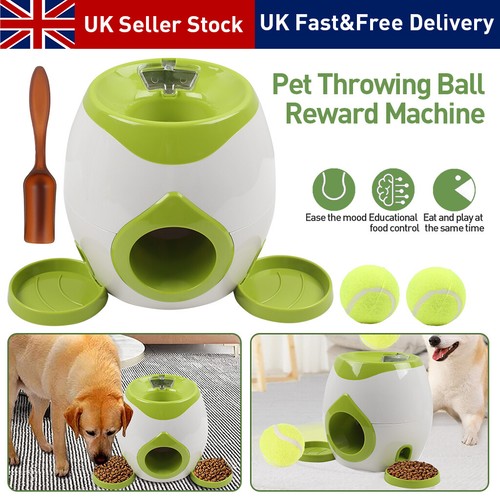 Automatic pet dog - pet,
