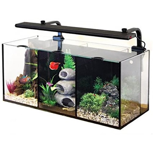 Aqua one betta - trio, glass