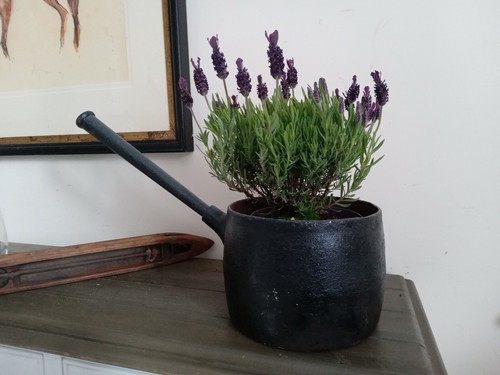 Cast iron gypsy pan - cast, long