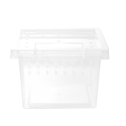 Reptile live food - reptile, storage
