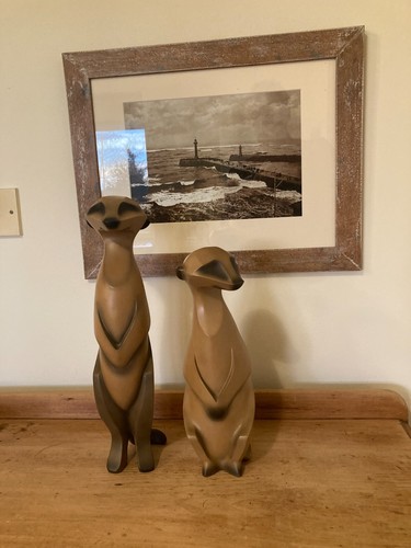 MEERKATS
