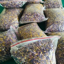 Blue Lotus Petal Stamens