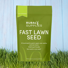 Fast Growing Lawn Grass Seed