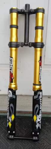 Fastace ahx12rv gold front - ,