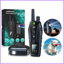 1000m Smart Dog Training