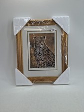 Stephen Gayford Cheetah Sunset