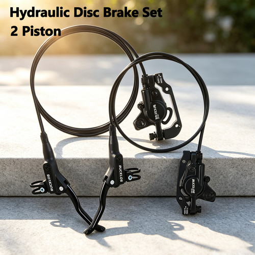 Pair piston hydraulic disc - piston,