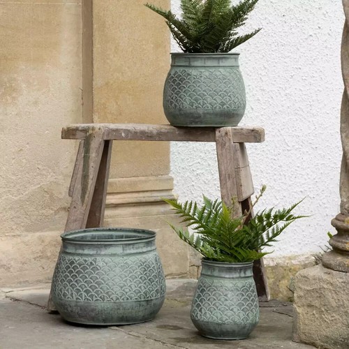 Galvanised planter flower - galvanised, planter,