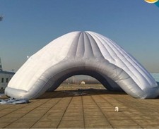 Inflatable Commercial Wedding