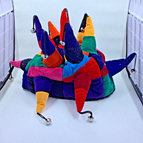 Jester hat with bells - hat,
