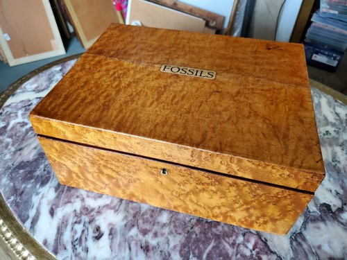 Unusual antique birds eye - unusual,